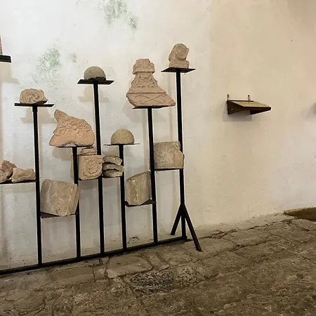 Shkodra Guide فيلة Grilë