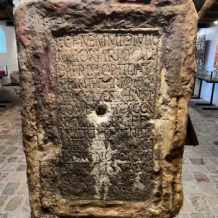 Shkodra Guide فيلة *